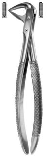 EXTRACTION FORCEPS LOWER ROOTS 74