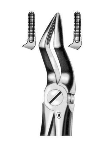 EXTRACTION FORCEPS UPPER ROOT 51