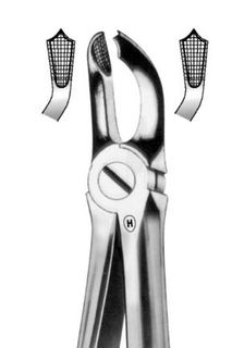 EXTRACTION FORCEPS LOWER WISDOM 79