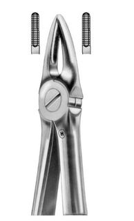 EXTRACTION FORCEPS TOPHANDY UPP ROOT 29