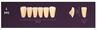 L341-BL2 MONDIAL TEETH LOWER ANTERIOR