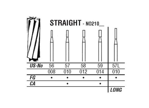 21-010 57 CARBIDE FG NORTHL BURS/5