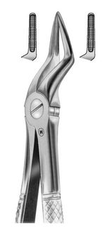 EXTRACTION FORCEPS TOPHANDY UPP ROOT 51A