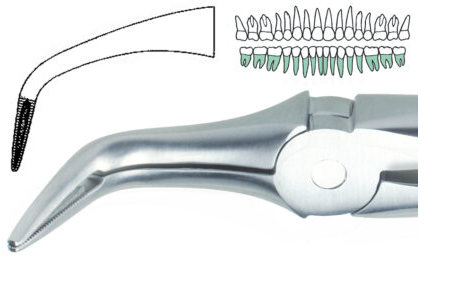 EXTRACTION FORCEPS ROOT TIP LOWER