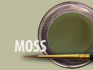 MIYO MOSS FLUOR PASTE 4G