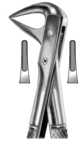 EXTRACTION FORCEPS LOWER ROOT 74N