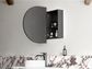 LED Bondi 900x600 Black Oak Shaving Cabinet
