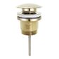 Universal Mushroom 32mm Burshed Gold Pop Up Waste