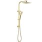 Taran 250mm Argent Gold Twin Shower On Rail Top Inlet Square