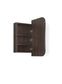 LED Newport 900(W)x750(H) Sable Walnut Shaving Cabinet - Premium Edition
