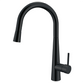 Pull Out Kitchen Mixer 420 Black