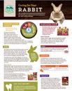 Caring for your Rabbit A4