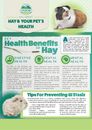 All About Hay &  Pet's Health