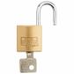 BURG 'Magno' 25mm PADLOCK (KD)
