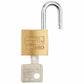 BURG 'Magno' 20mm PADLOCK - CARDED (KD)