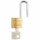 BURG 'Magno' 20/26mm L/SHACKLE PADLOCK - CARDED (KD)