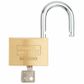 BURG 'Magno' 60mm PADLOCK - CARDED (KD)