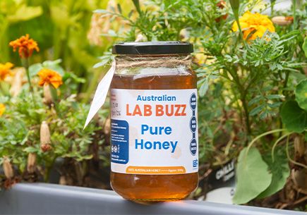 New LabBuzz Honey!