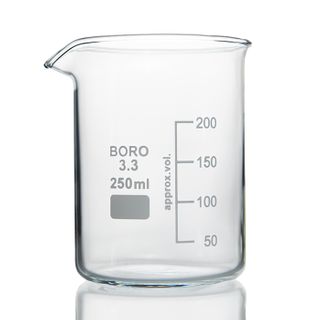 Beaker Low Form Boro 250mL LabCo