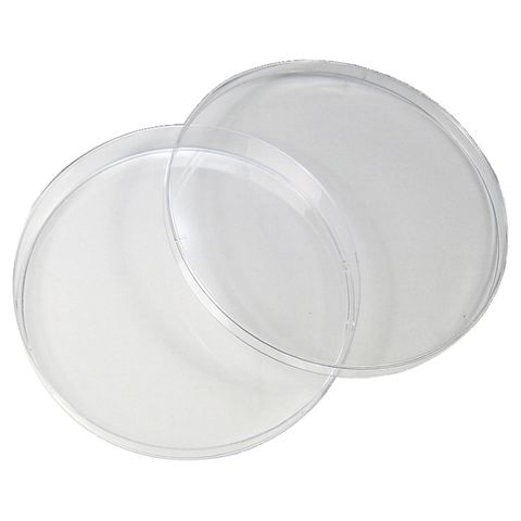 Petri Dish 150mm Diameter - 150 x 15mm