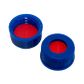 Cap Screw 9mm PTFE/Silicone/PTFE Lined - Blue - PP