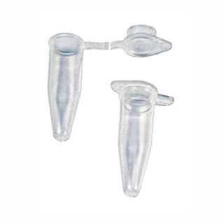 Tube PCR Flat Cap 0.2mL