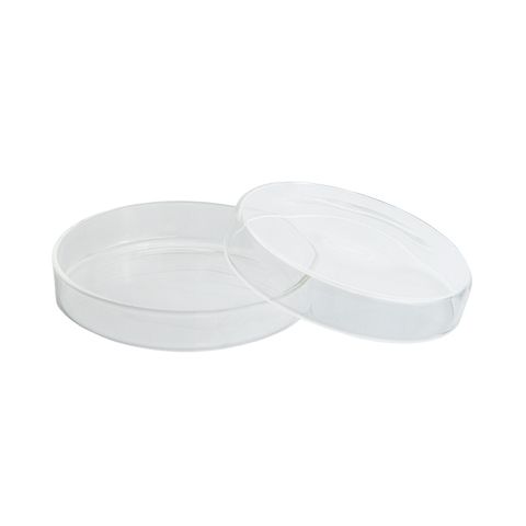 Petri Dish Boro 3.3 120mm x 25mm
