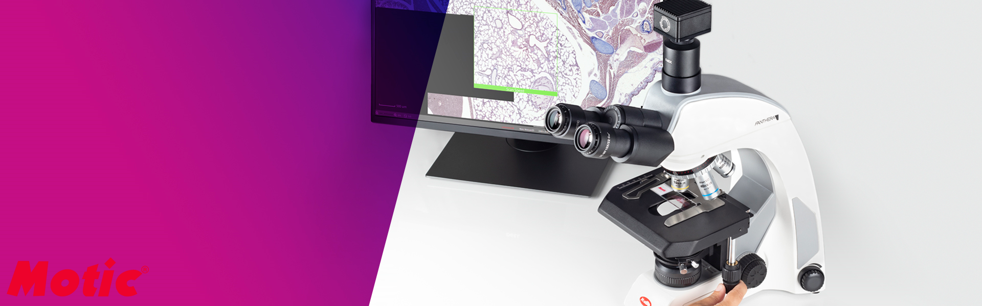 Motic Banner 3