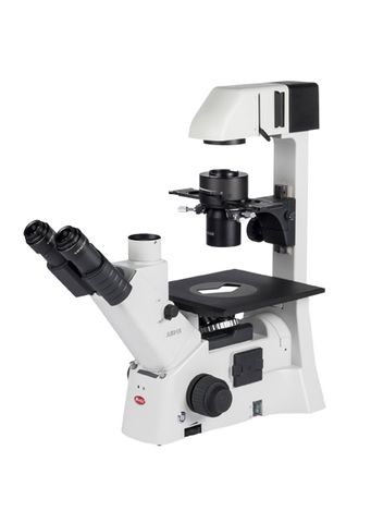 AE31E BINOCULAR HEAD INVERTED MICROSCOPE