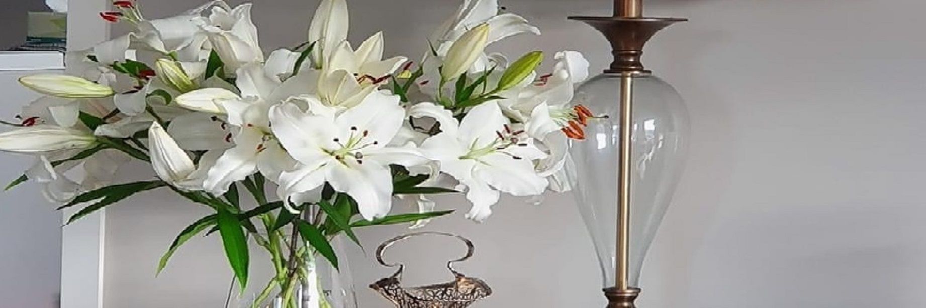 Now shipping to the South Island!