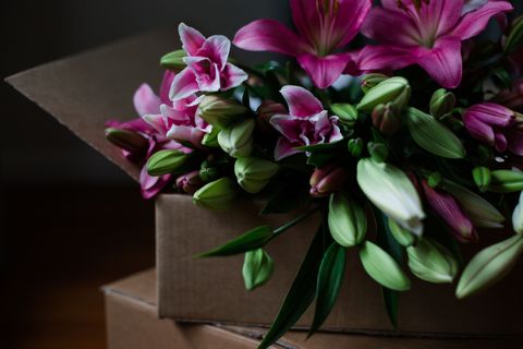 Mixed Colour Scented