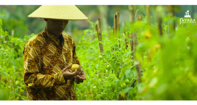 These nutritious noodles are the tastiest way to sustain biodiversity in the global food system!