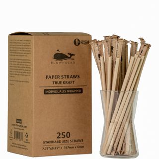 BLOWHOLES PAPER STRAWS WRAPPED STANDARD KRAFT 250CT