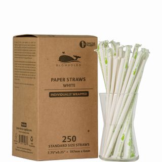 BLOWHOLES PAPER STRAWS WRAPPED STANDARD WHITE 250CT