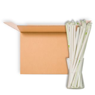 BLOWHOLES PAPER STRAWS WRAPPED MILKSHAKE WHITE 180CT CS24