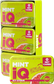 MINTiQ Sugar Free Icy Mints