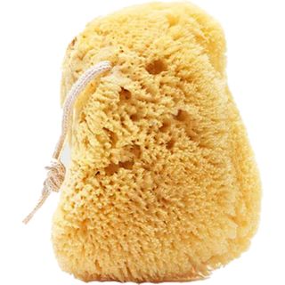 PUBLIC GOODS SEA SPONGE 1CT