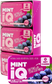 MINTiQ Sugar Free Icy Mints