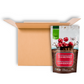 Green Sun Organic Vegan Chocolate Covered Fruits and Nuts
