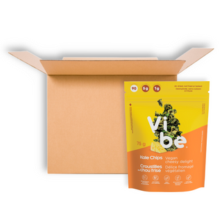 VIBE KALE CHIPS CHEESY DELIGHT 75G CS12