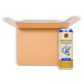 Golden Nest Horchata