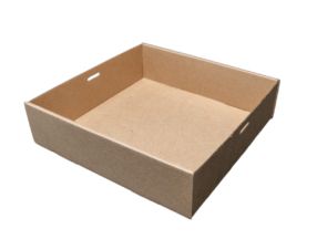 CATERING TRAY #5 225x225x60mm (100)