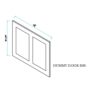 Dummy  Door B36