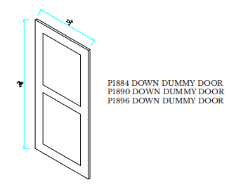 Dummy  Door P1890 Down