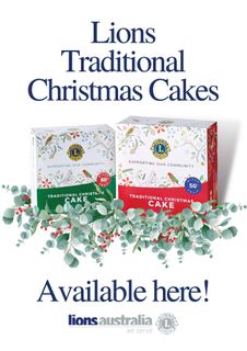 Christmas Cake Poster - 10pk