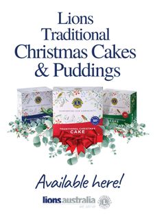 Christmas Cake/Pud Poster 10pk