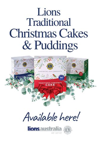 Christmas Cake/Pud Poster 10pk