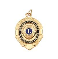 DG Appreciation Award Medal