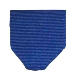 Ribbon Presentation - Blue