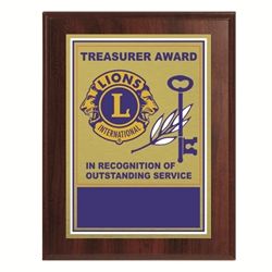 Treasurer Award